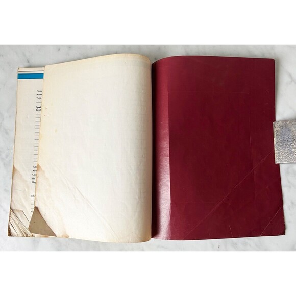 Advanced Dungeons & Dragons The Complete Wizard's Handbook AD & D 2nd Ed 2115 - Picture 11 of 12